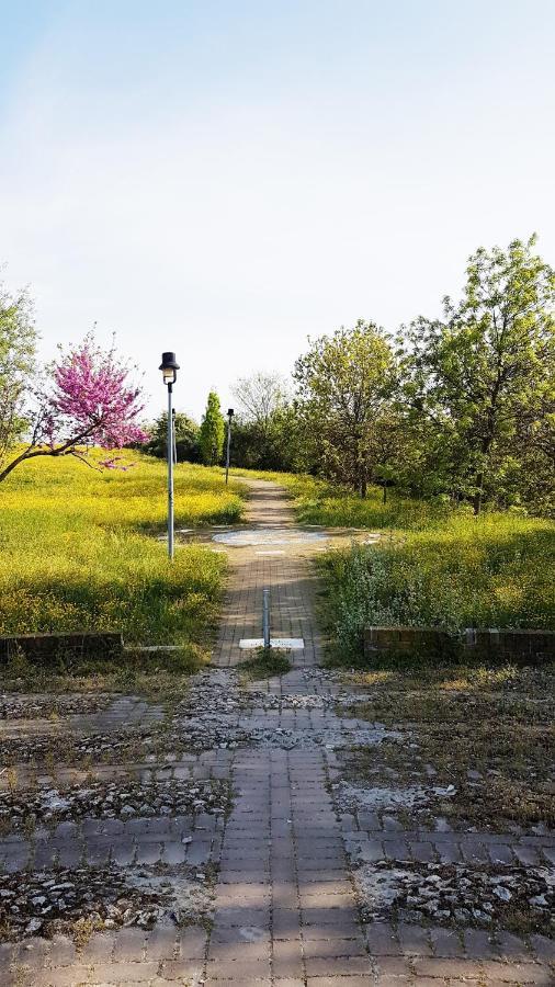 ריצ'יונה Casarava Sul Parco 3 Camere 2 Bagni מראה חיצוני תמונה