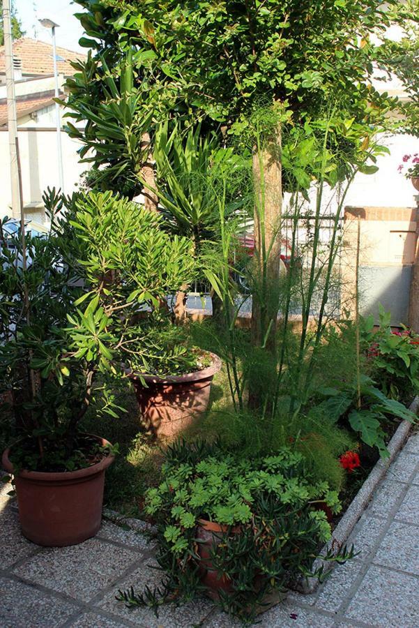 ריצ'יונה Casarava Sul Parco 3 Camere 2 Bagni מראה חיצוני תמונה